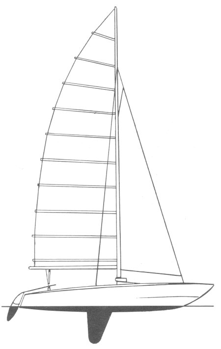 shark catamaran