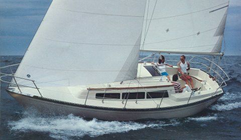 https://images.harbormoor.com/originals/799e4f3d-b779-445b-9f45-5ceafda35075